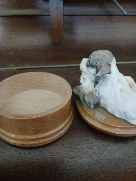 Um excelente  cão