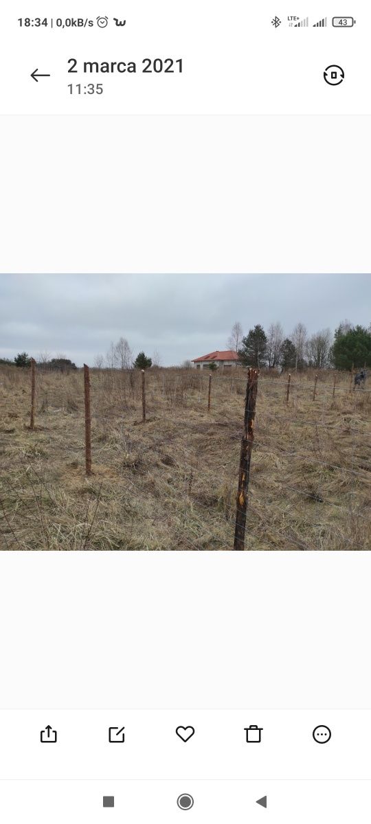 15 lat Czujak Techniczne ogrodzenia ogrodzenia z siatki leśnej
