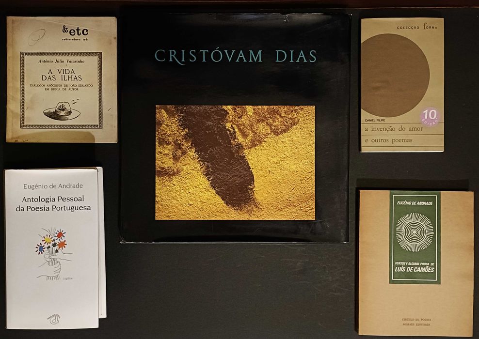 19 livros, principalmente poesia portuguesa. Edições raras. Lote 230€.