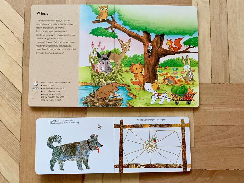 Reksio i przyjaciele, Pajączek książki