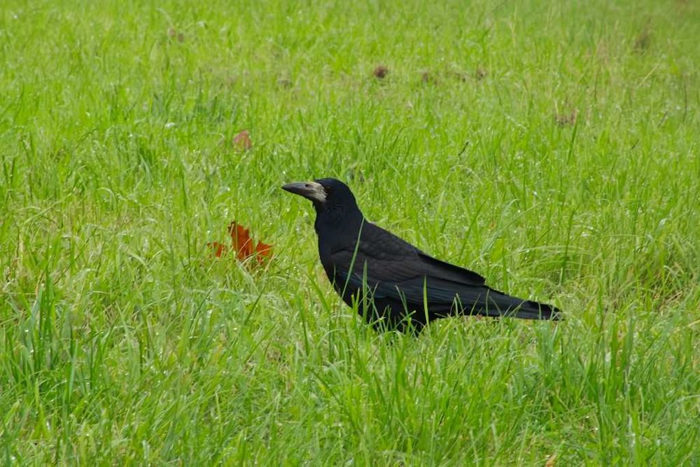 Korepetycje z biologii do matury