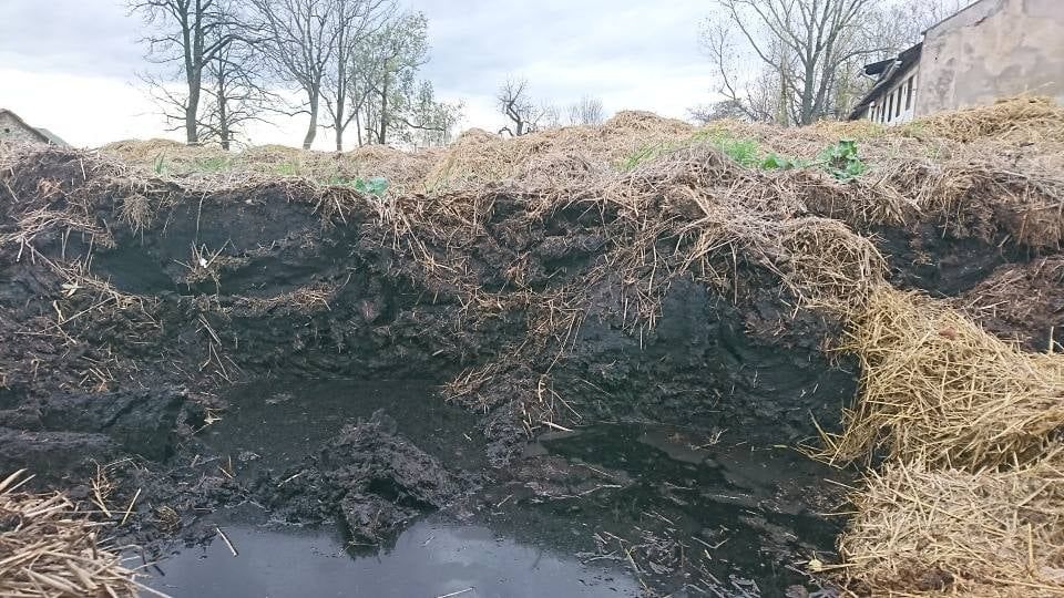 obornik przekompostowany-nie słoma!