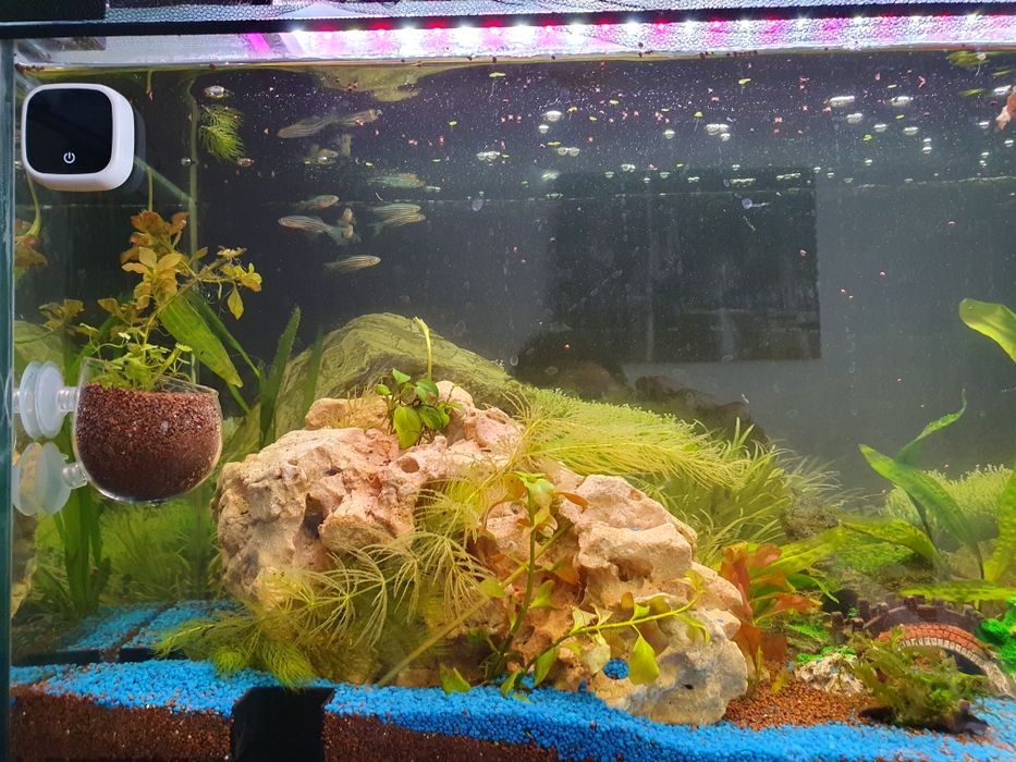 Akwarium 110 x 30 x 35