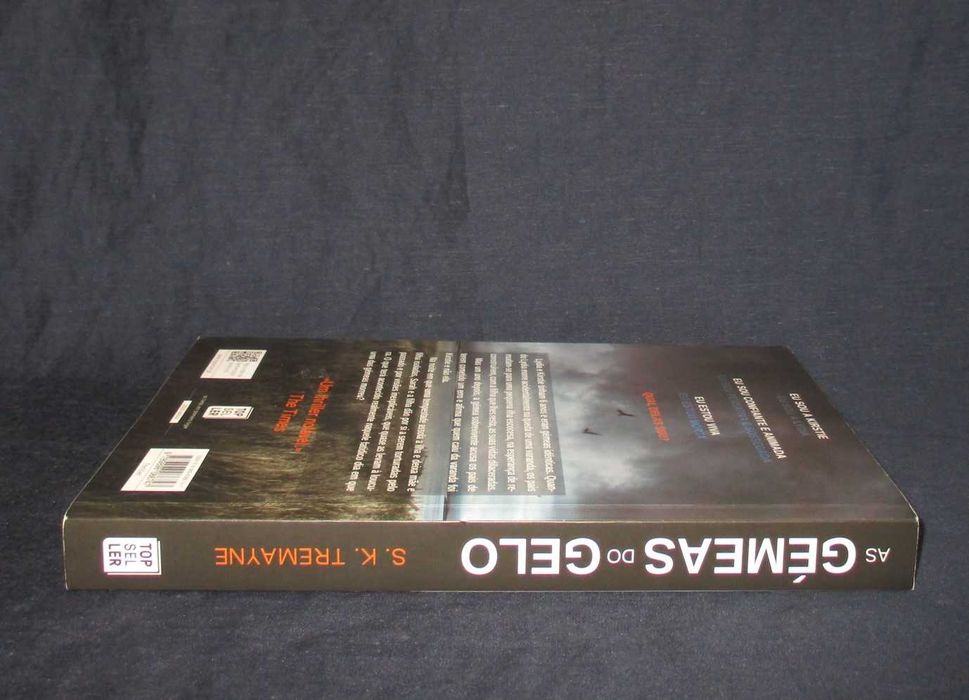 Livro As Gémeas do Gelo S. K. Tremayne