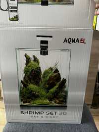 Aquael  shrimp set 30++