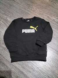 Bluza dziecięca puma r.110