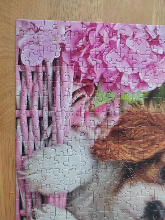 Puzzle 500 Pup in Pink Flowers / Szczenię w różowych kwiatach