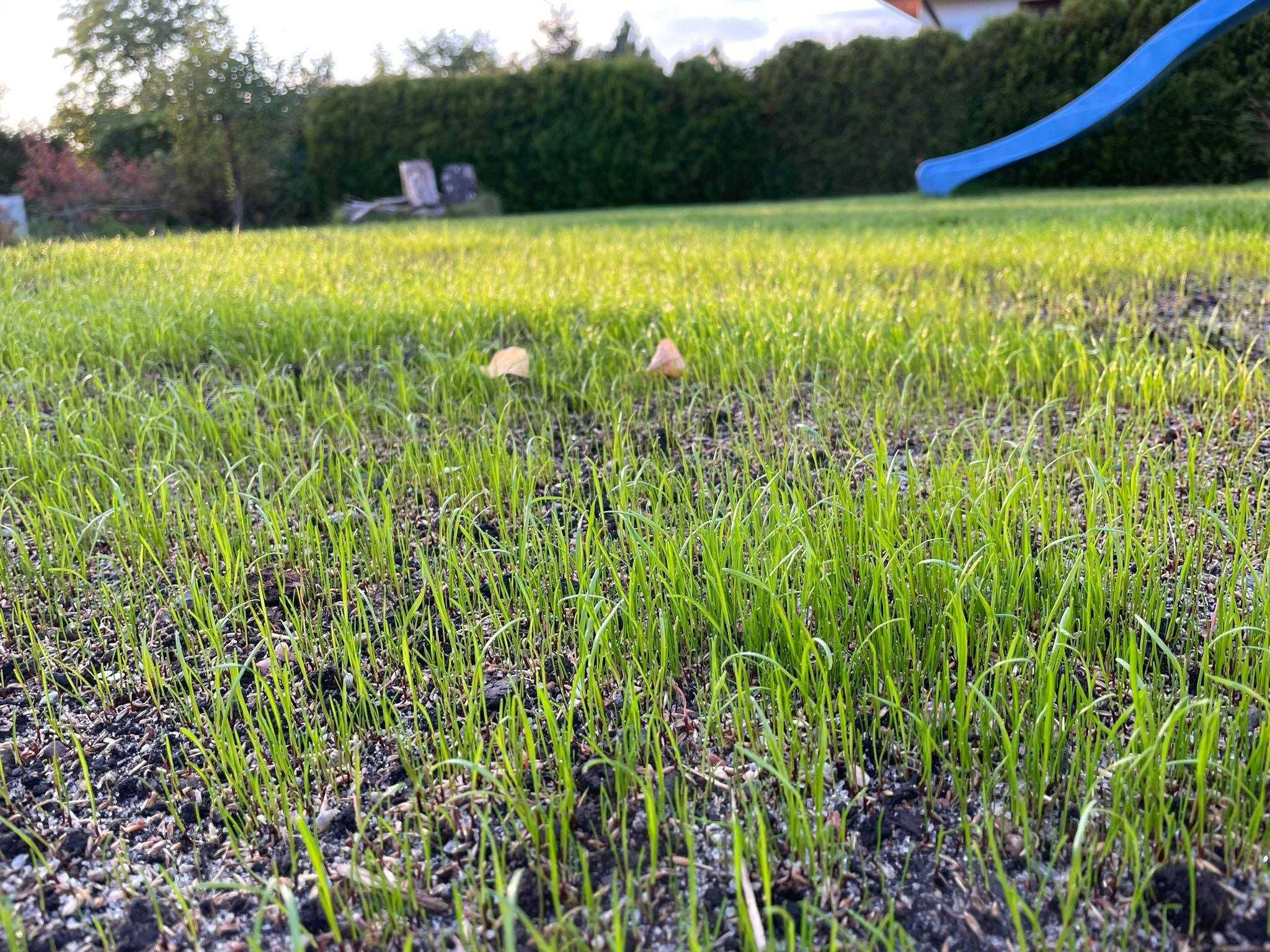 Ziemia ogrodowa 3,5 m3 do trawników i warzywniaków 550zł z dostawą