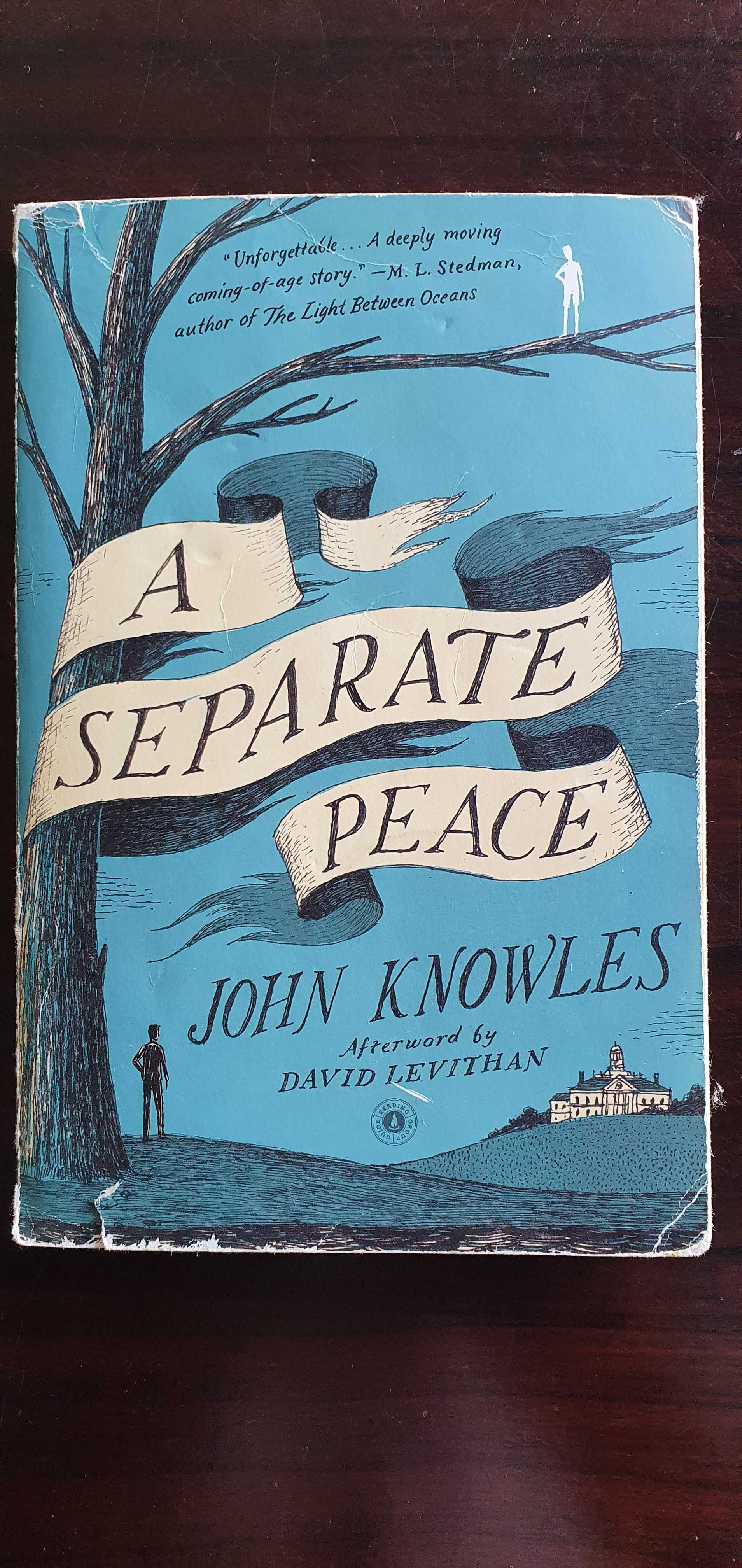 lektura szkolna John Knowles "A separate peace"