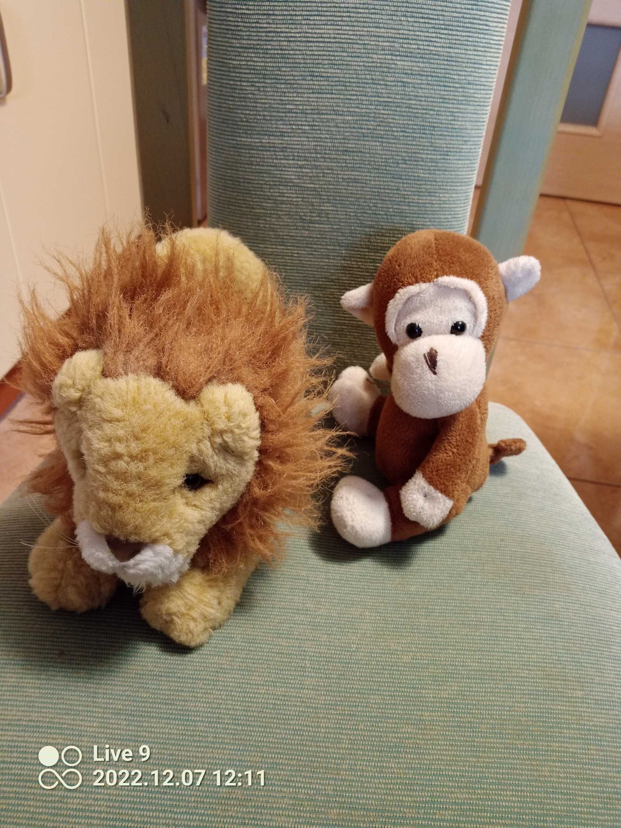 zestaw pluszaków lew i małpka