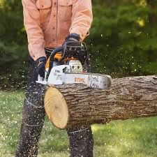 Stihl 251. Pilarka łańcuchowa,wynajem