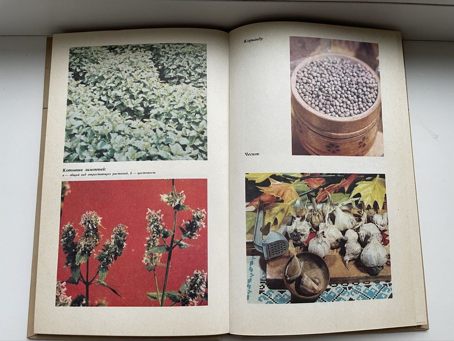 новая книга пряности