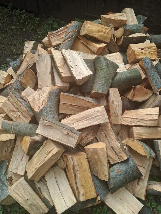 Sprzedam drewno kominkowe.