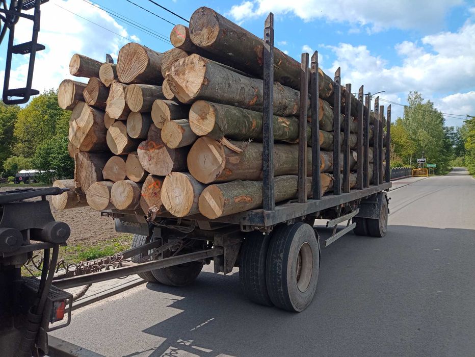 Drewno Kominkowe Opałowe ilości Cało Tirowe