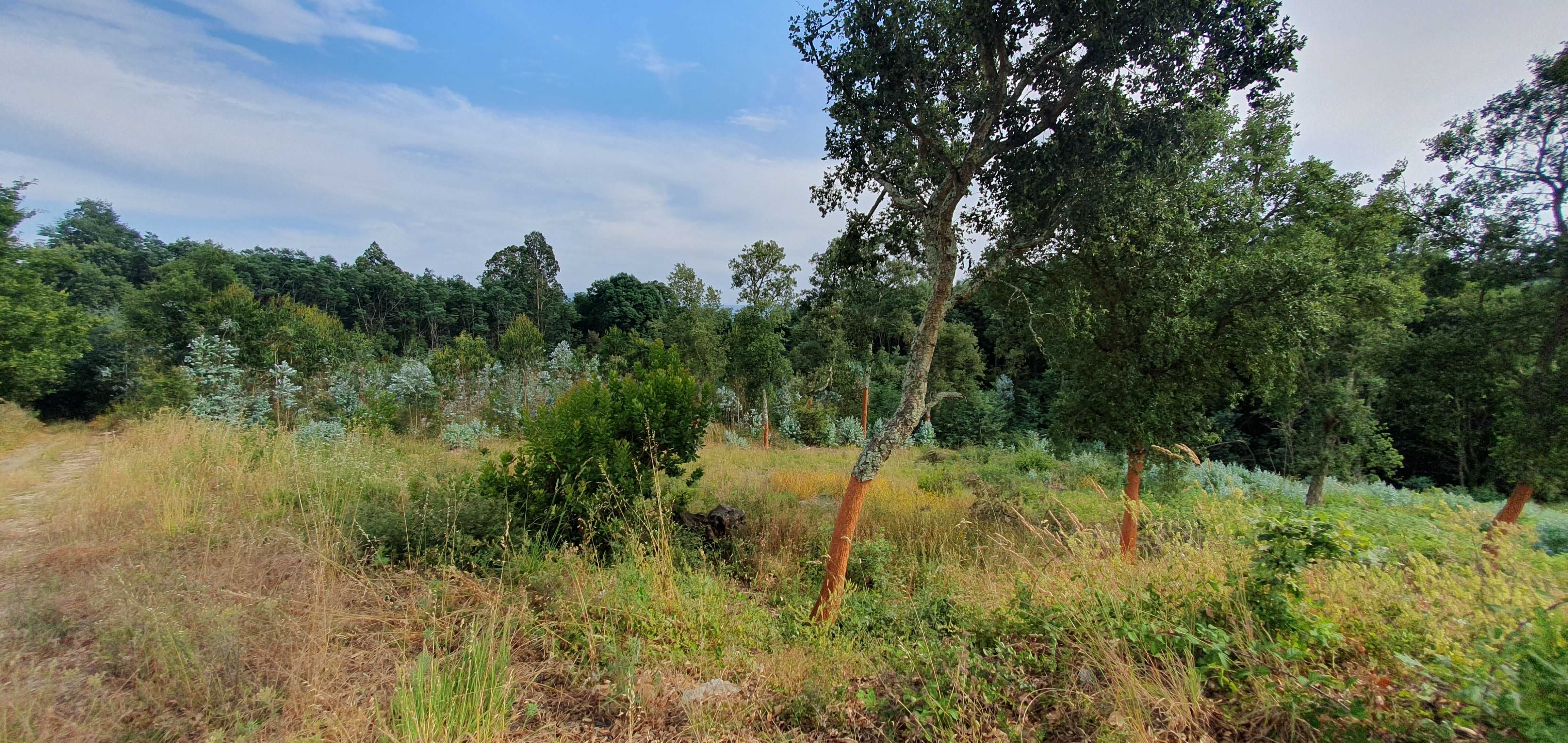 Terreno para construção