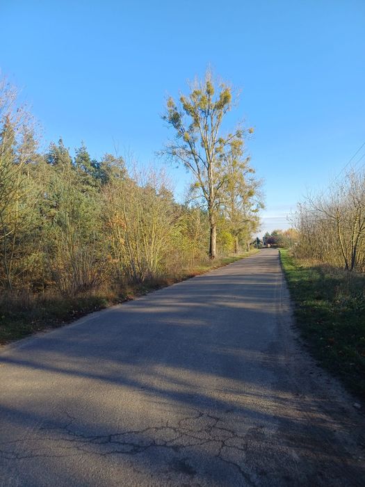 Sprzedam działki Mieściska, gmina Duszniki