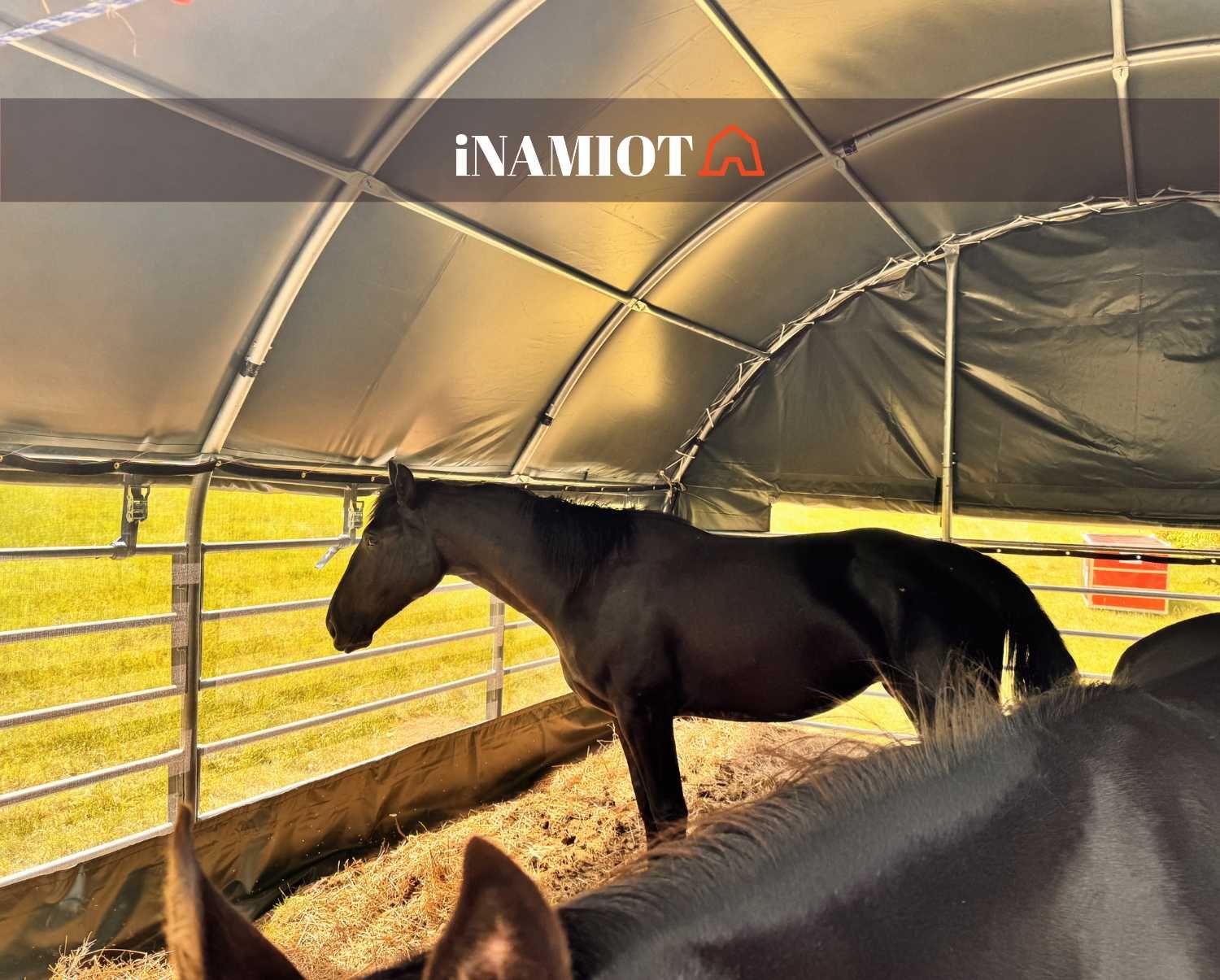 Zagroda Dla Zwierząt Premium 8x8 PVC 900g ocynkowana stal, wiata