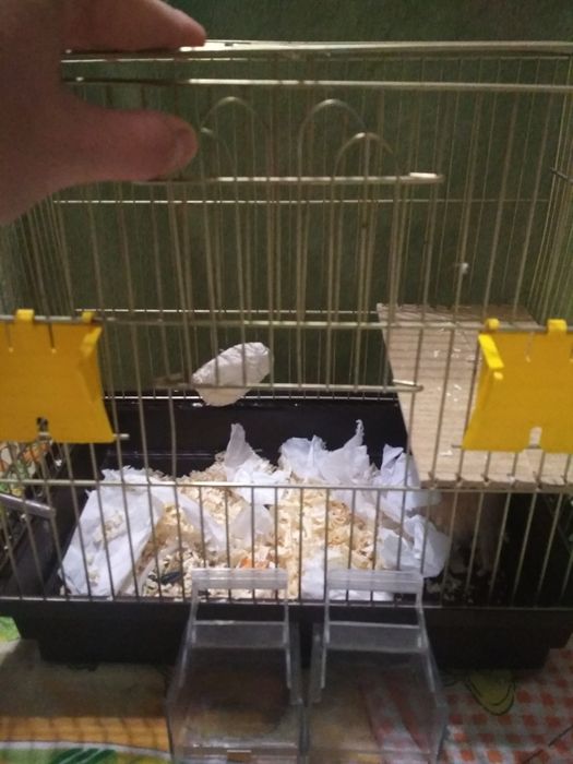 Продам клітку для гризунів або птахів