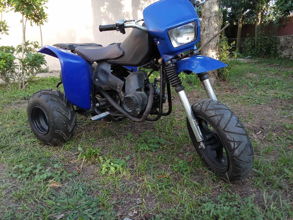 motinha pro monte nao matriculada