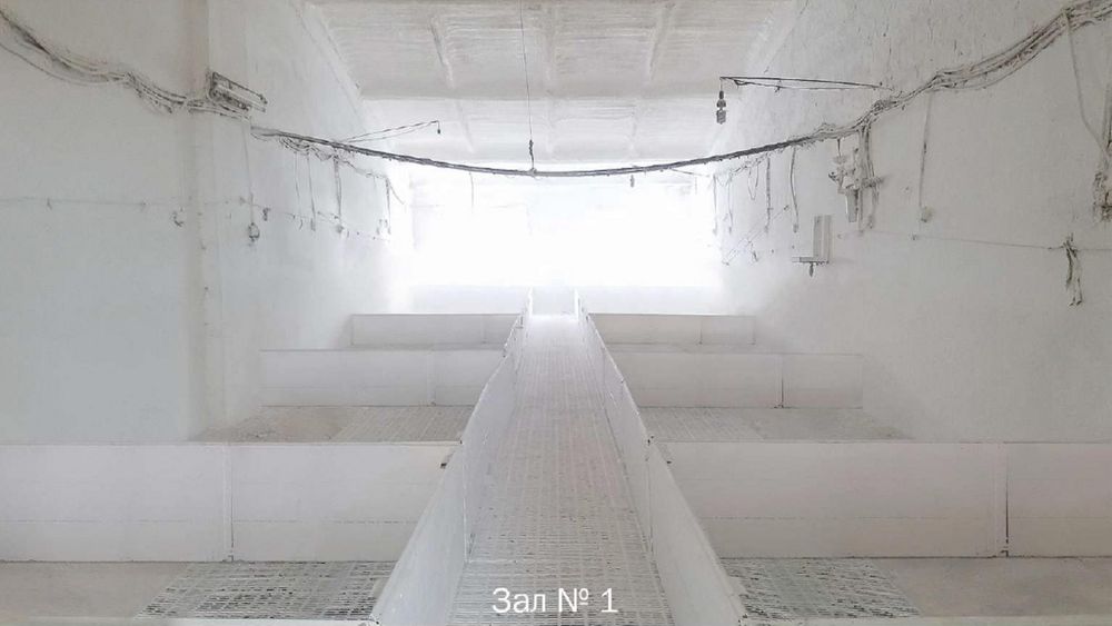 Здам в оренду тваринницьку ферму 20 км від Харкова, Двурічний Кут