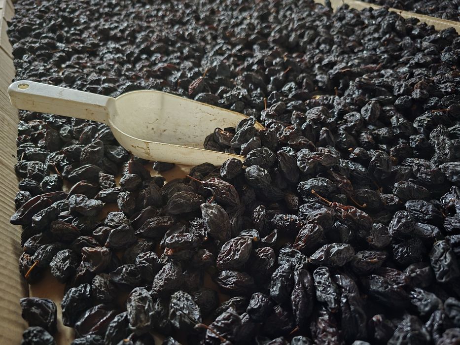 Śliwka suszona tradycyjną metodą damacha lub węgierka. Naturalna!