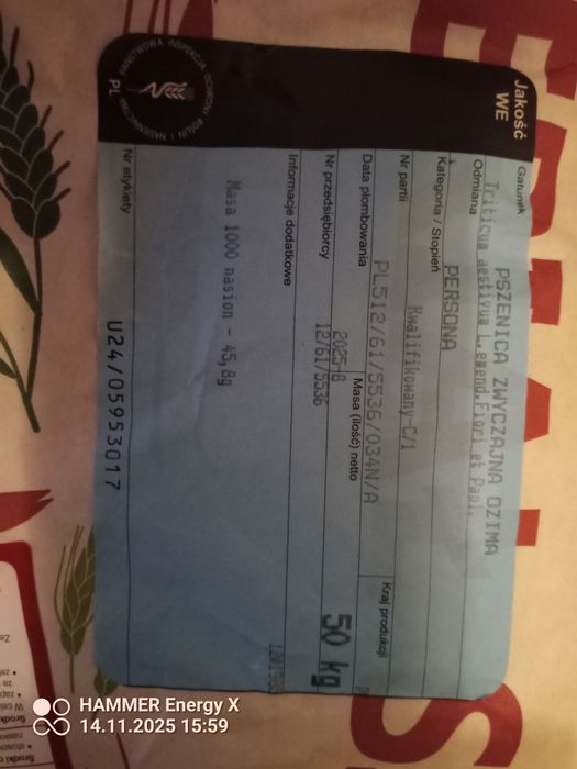 Pszenica ozima Persona kwalifikat