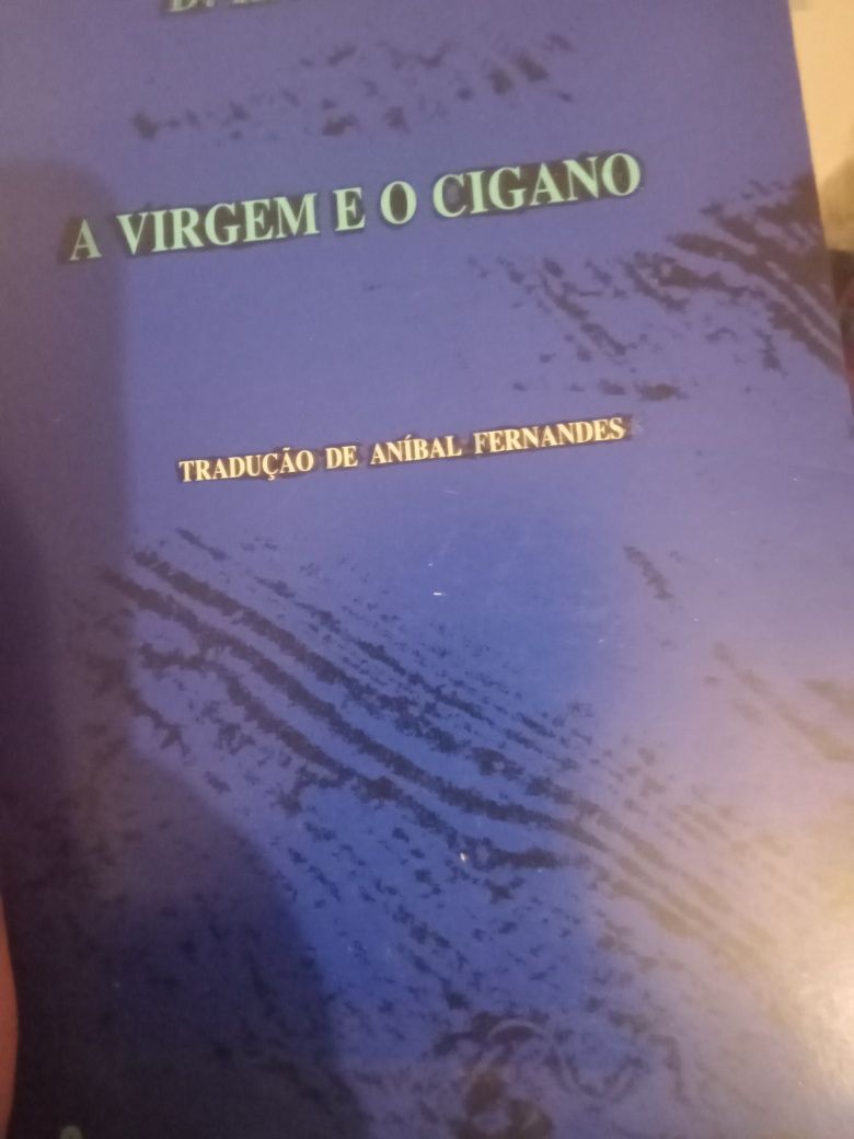 A virgem e o cigano D.H.Lawrence