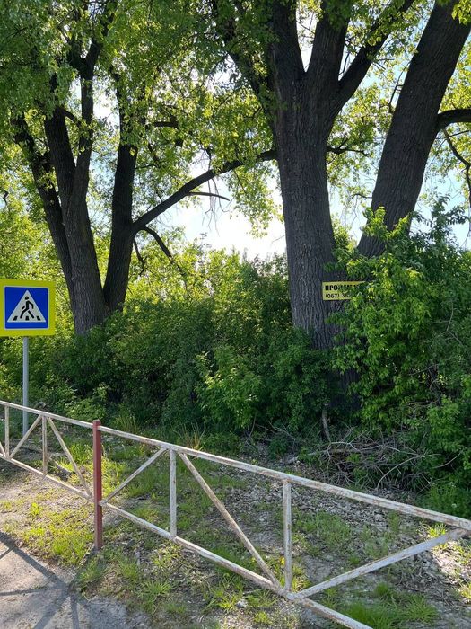 Земельна ділянка біля траси Хмельницький -Чернівці від власника.