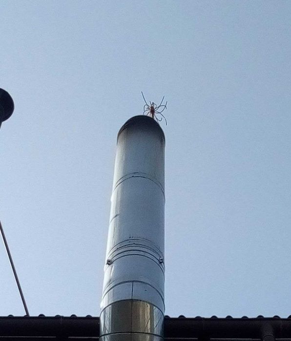 Чистка дымохода , печи , камина , котла Киев и область ( роторная)