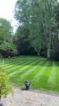 Serviços de Jardinagem - Manutenção de Jardins