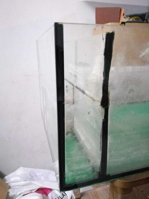 Tartarugueira grande