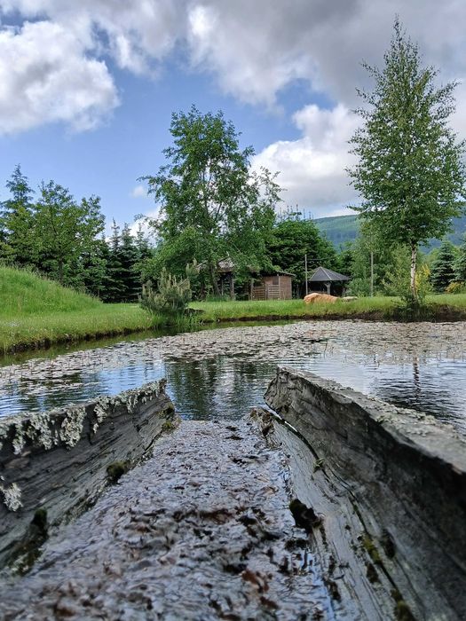 Noclegi Zieleniec, Czarna Góra