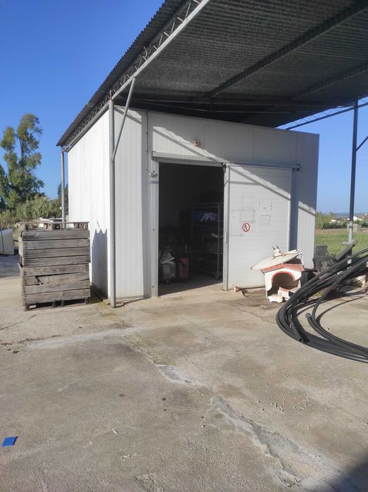 Câmera Frigorífica