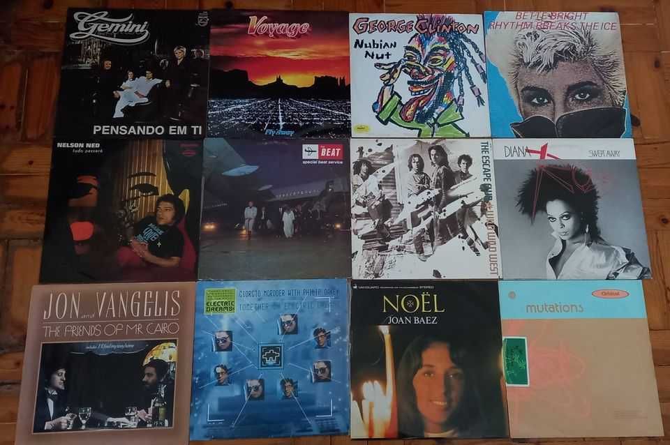 Lote de vinil de vários LP`s e maxis