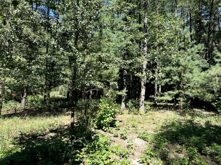 Земельна ділянка, житлова забудова село Пряжів