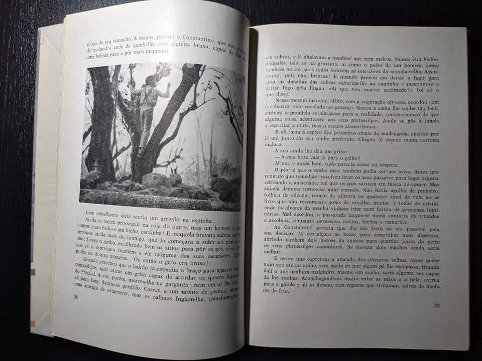 Alves Redol - Constantino, guardador de vacas e de sonhos (1ª edição)