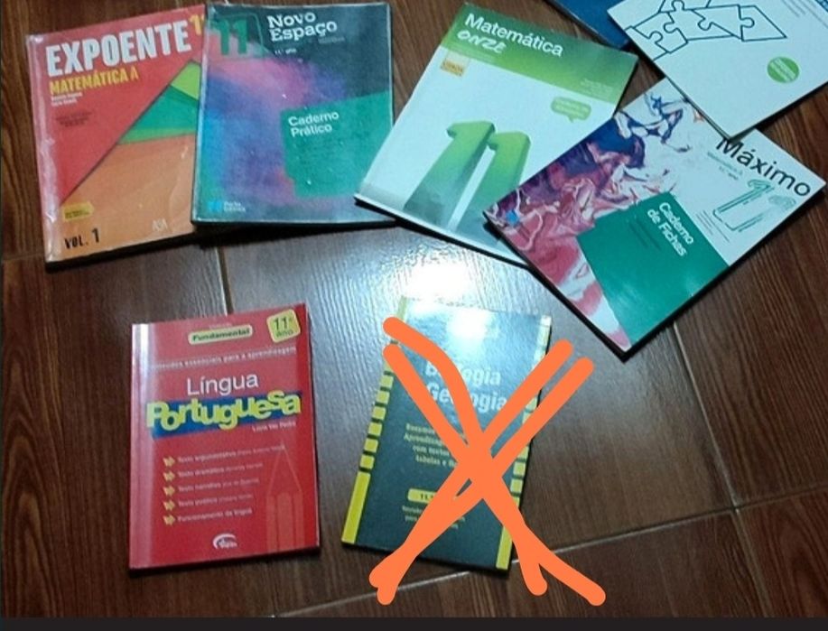 Manuais escolares para 11 ano