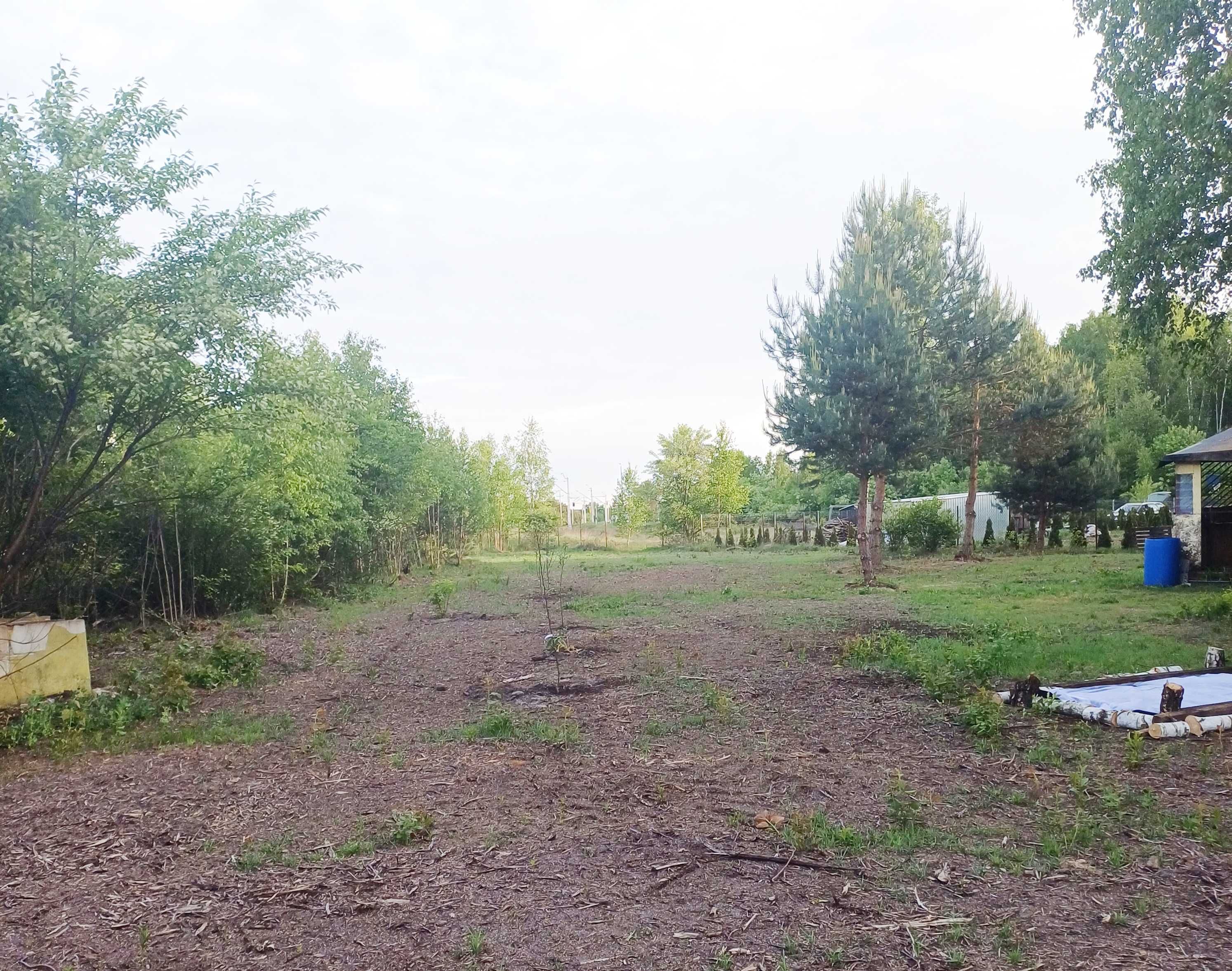 Działka leśna budowlana 2863m/k- Kolonia Zbyszków Grabów nad Pilicą