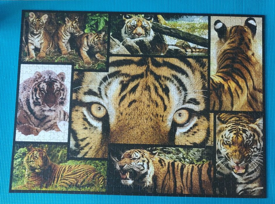 Puzzle 1000 elementów tygrysy WWF