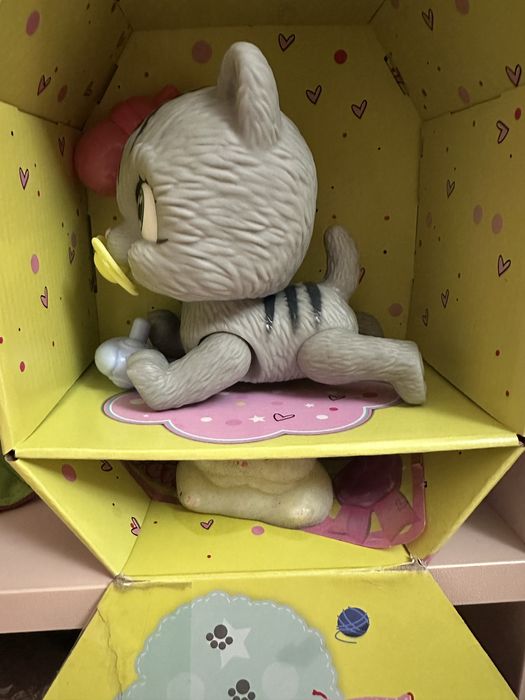 Киця adopt me в оригінальному боксі