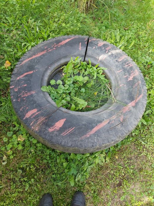 Za darmo 3 na kwietnik