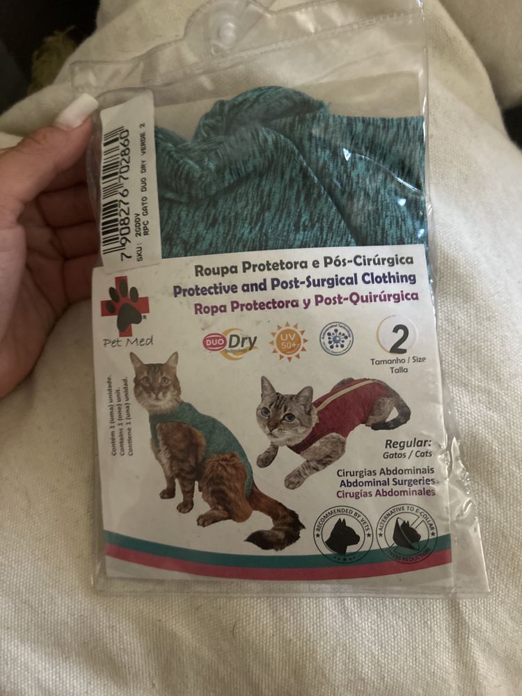 Fato pós operatório Gato