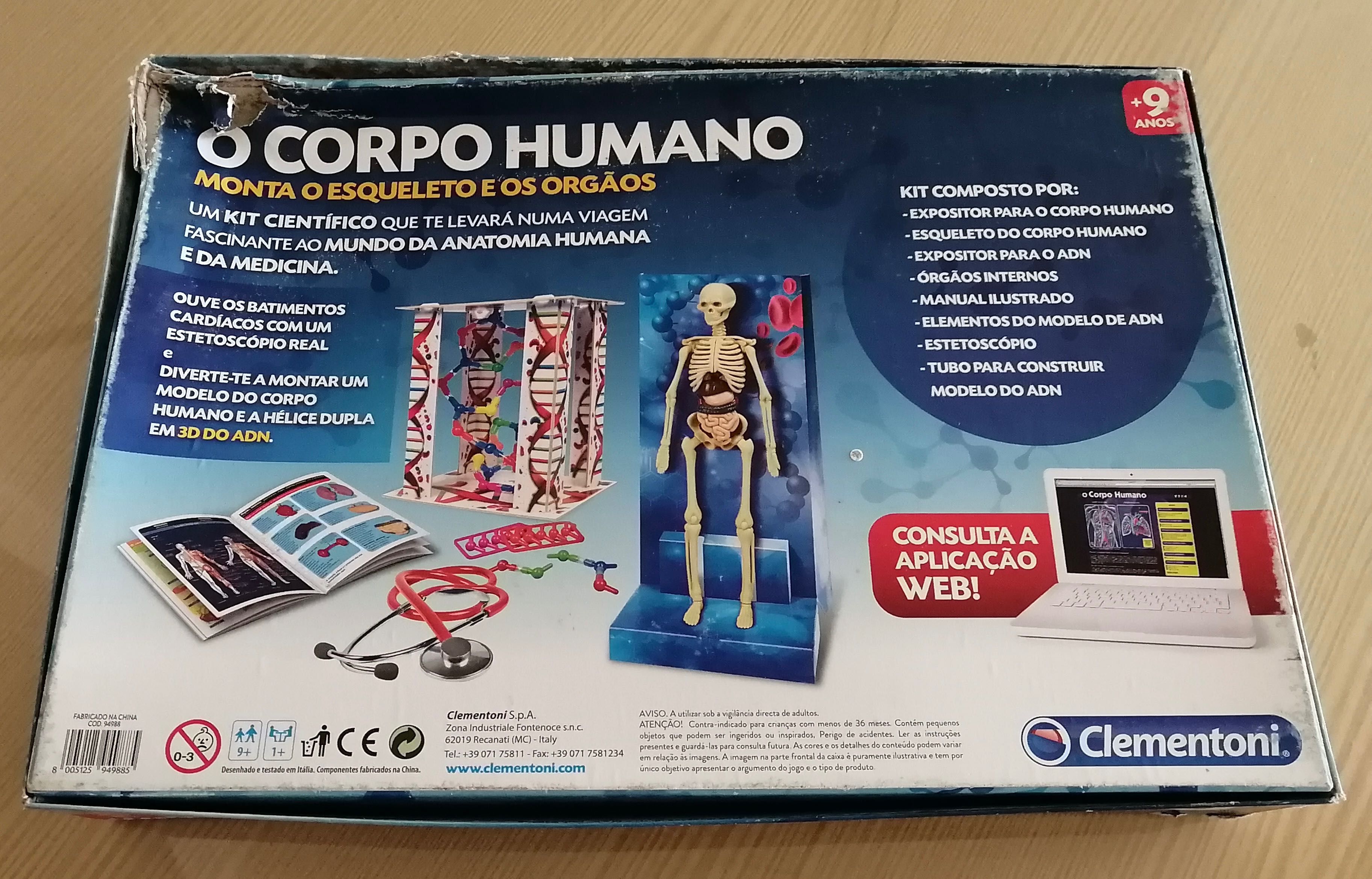 jogo temático o corpo humana