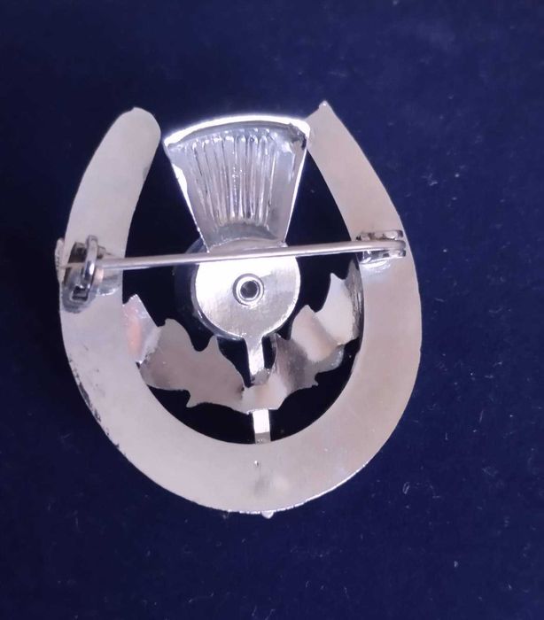 Вінтажні броши гербові, чортополох