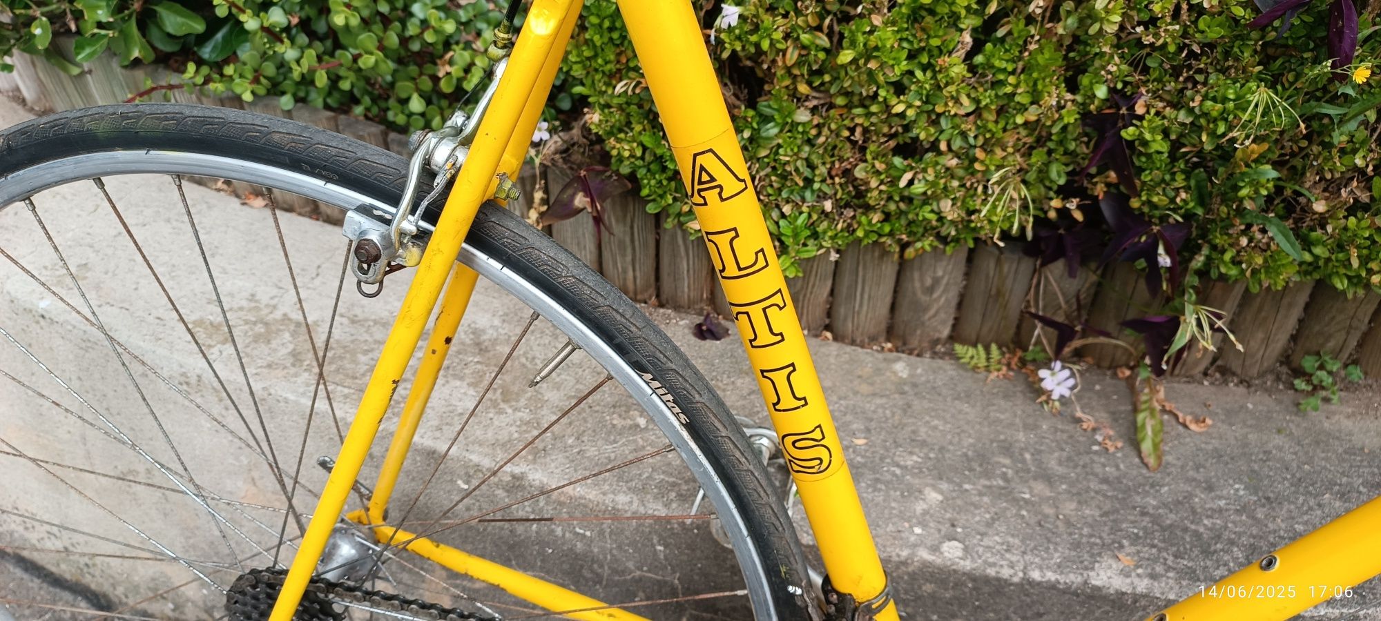 Bicicleta antiga Altis