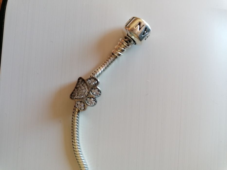 Peça de prata pata animal