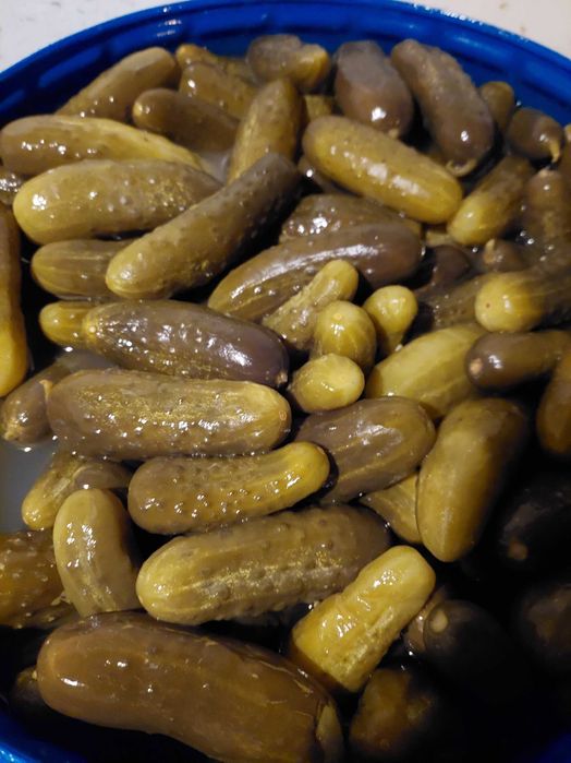 Kapusta kiszona bez konserwantów oferta hurtowa