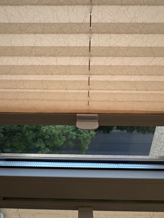 Plisy Deco /sun  8 szt