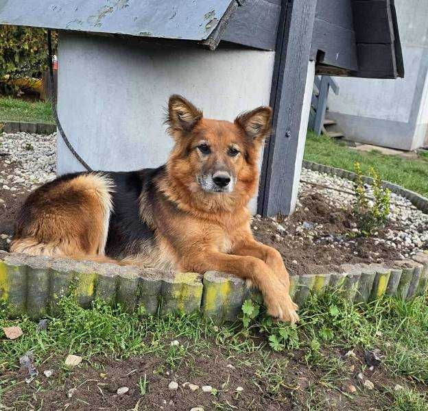 RAJA bardzo prosi o dom