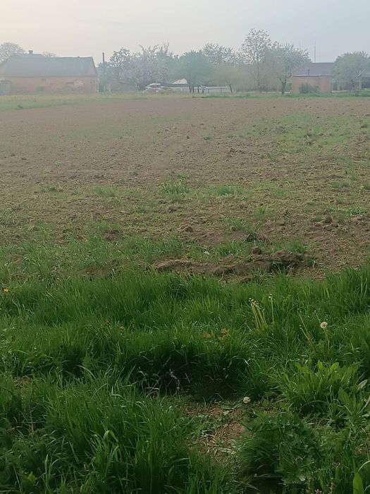 Земельна ділянка